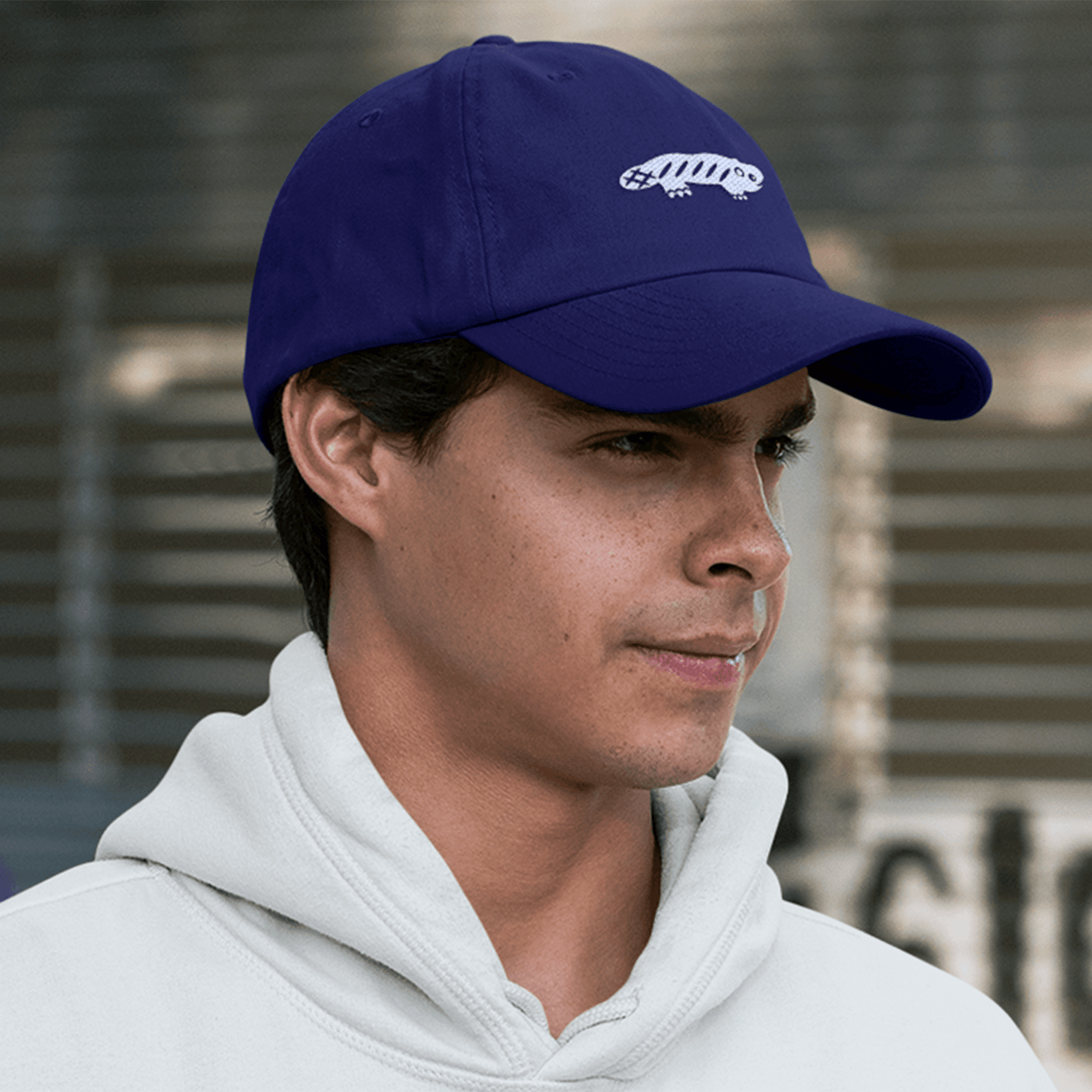 Gorras - 7 colores